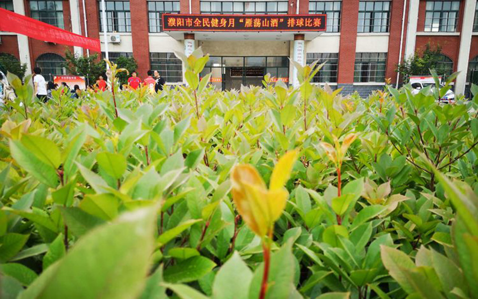 濮陽(yáng)市全民健身月“雁蕩山酒”排球比賽圓滿落下帷幕